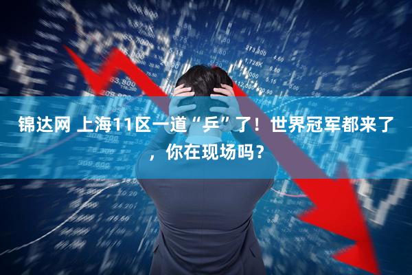 锦达网 上海11区一道“乒”了！世界冠军都来了，你在现场吗？