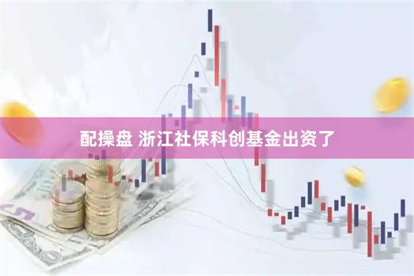 配操盘 浙江社保科创基金出资了
